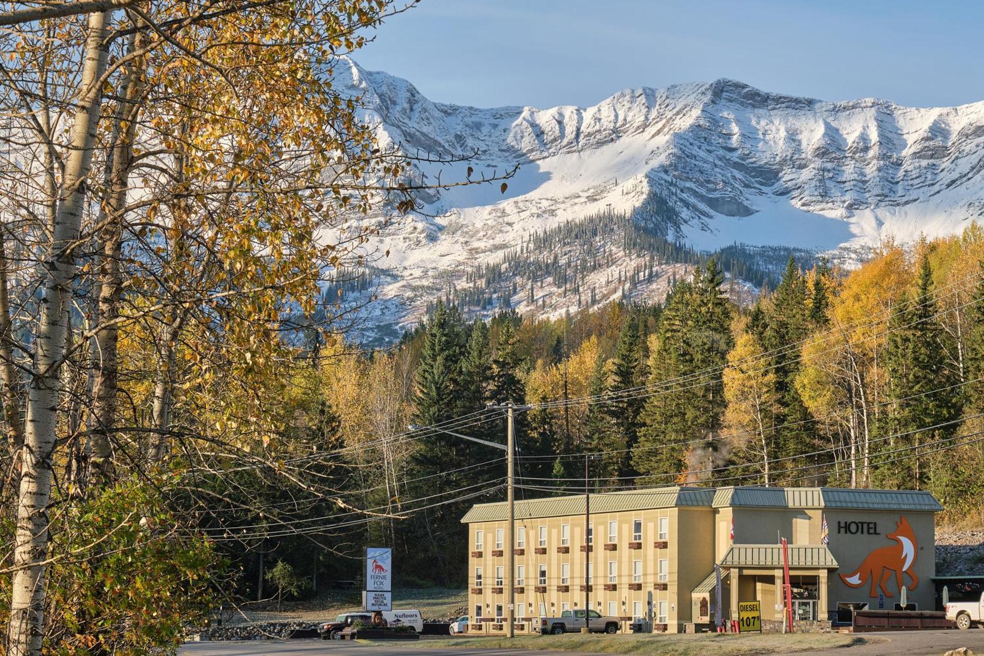 Fernie Fox Hotel Exterior photo